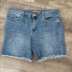 Denim Frayed Hem Shorts size 32